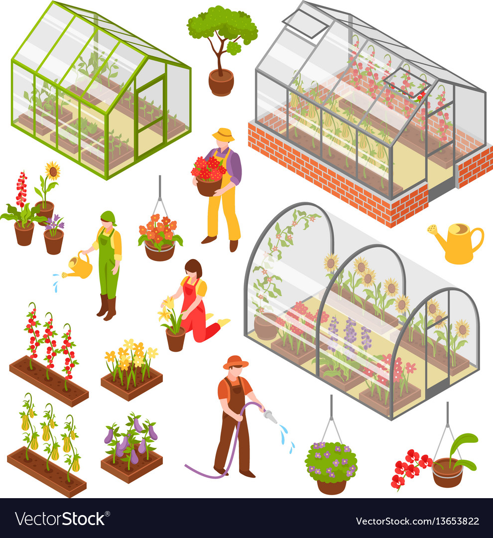 Download Isometric 3d greenhouse icon set Royalty Free Vector Image