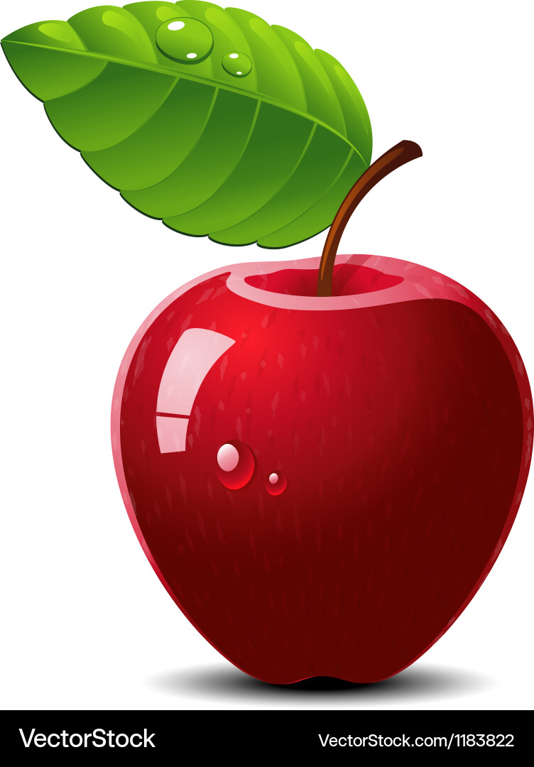 Ripe Apple Royalty Free Vector Image Vectorstock