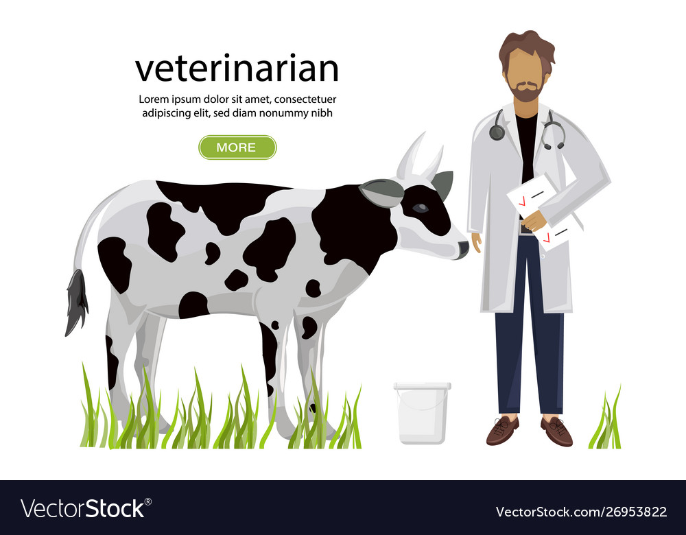 Vet doctor medicine poster project layout