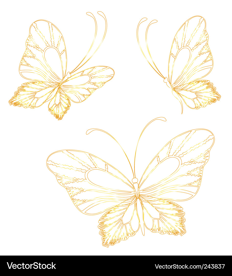Butterfly Royalty Free Vector Image - VectorStock