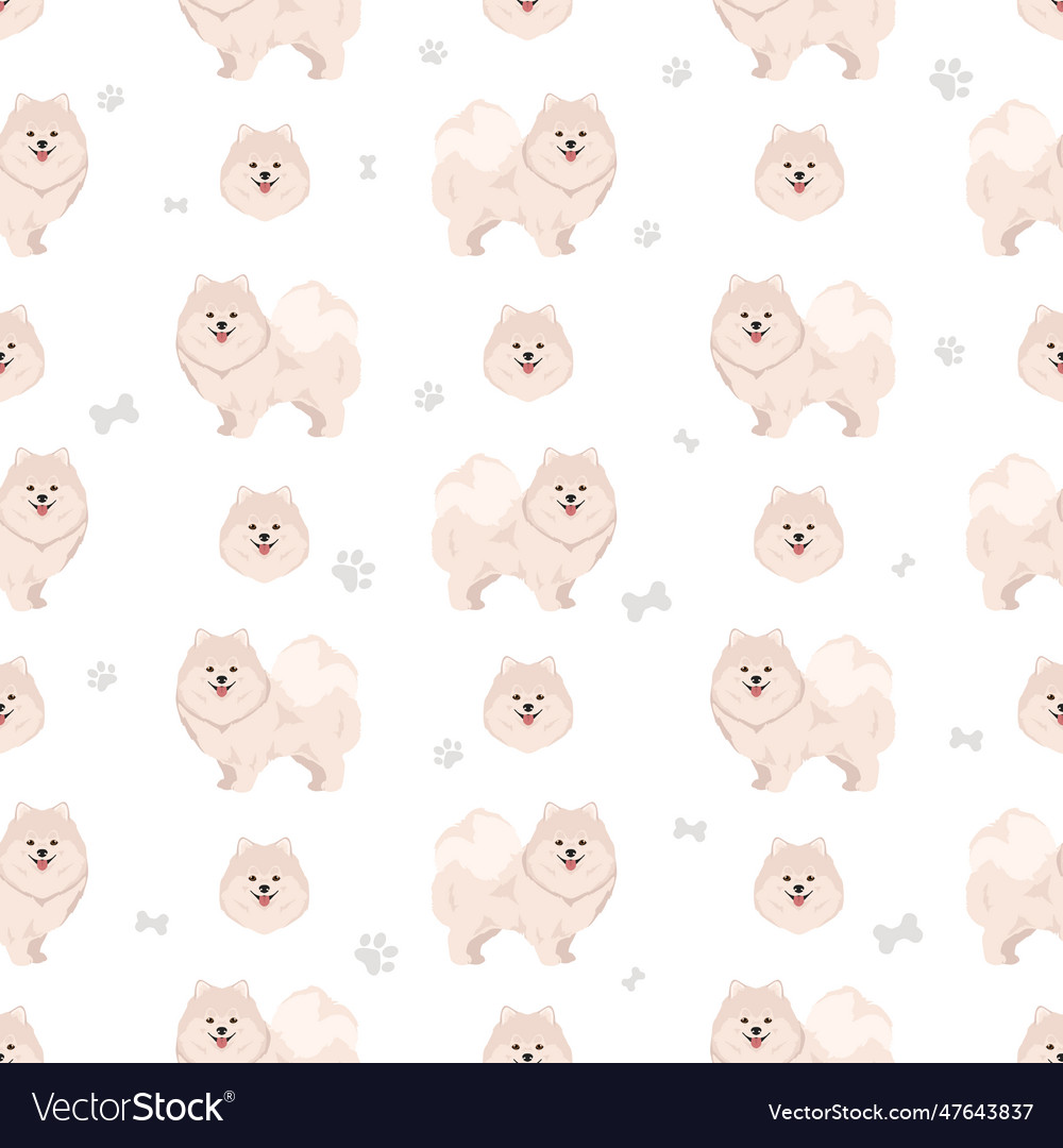 Pomeranian german spitz seamless pattern