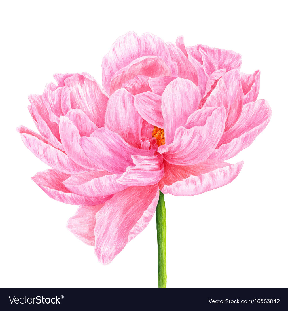 watercolor template