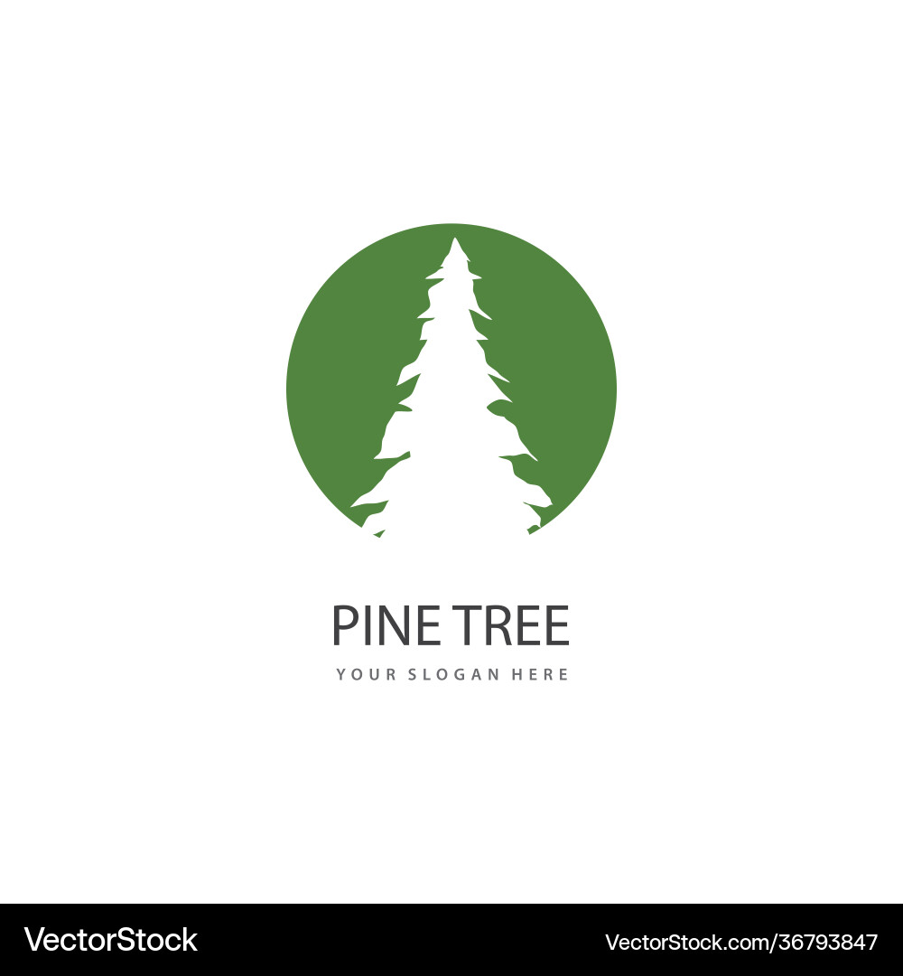 Pine tree Royalty Free Vector Image - VectorStock