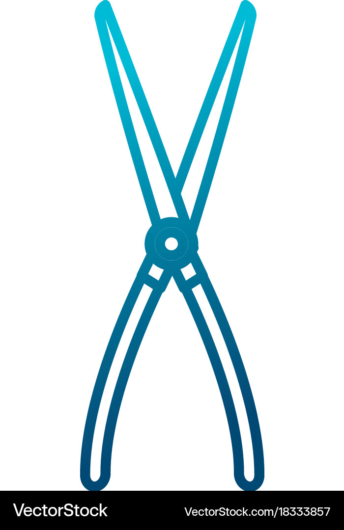 Gardening scissors tool Royalty Free Vector Image