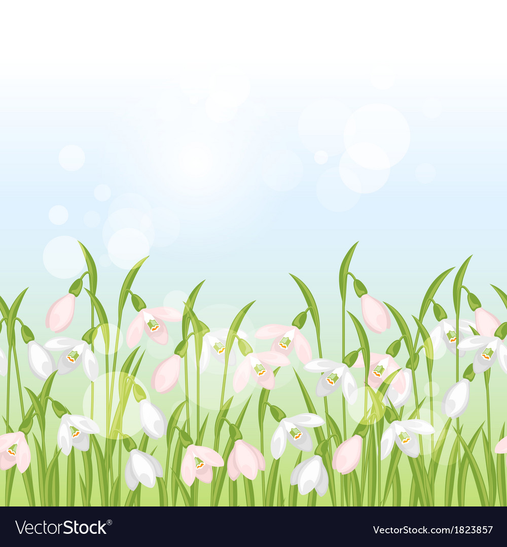 Spring flowers snowdrops seamless pattern