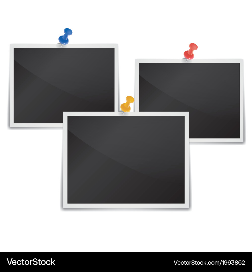 Photo Royalty Free Vector Image - VectorStock