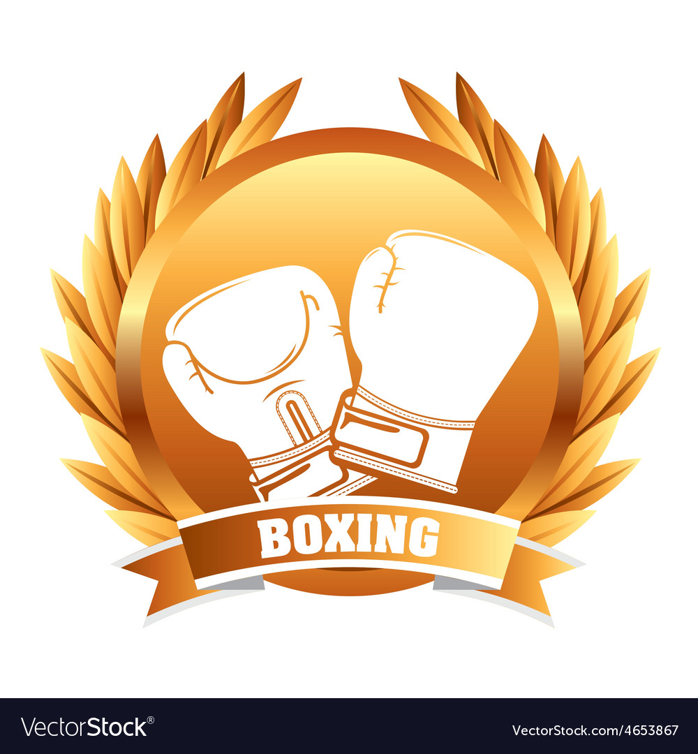 Boxing sport