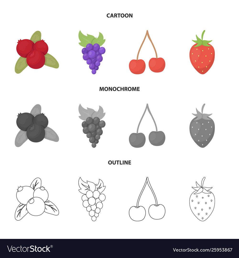 Design berry and fruit logo set Royalty Free Vector Image