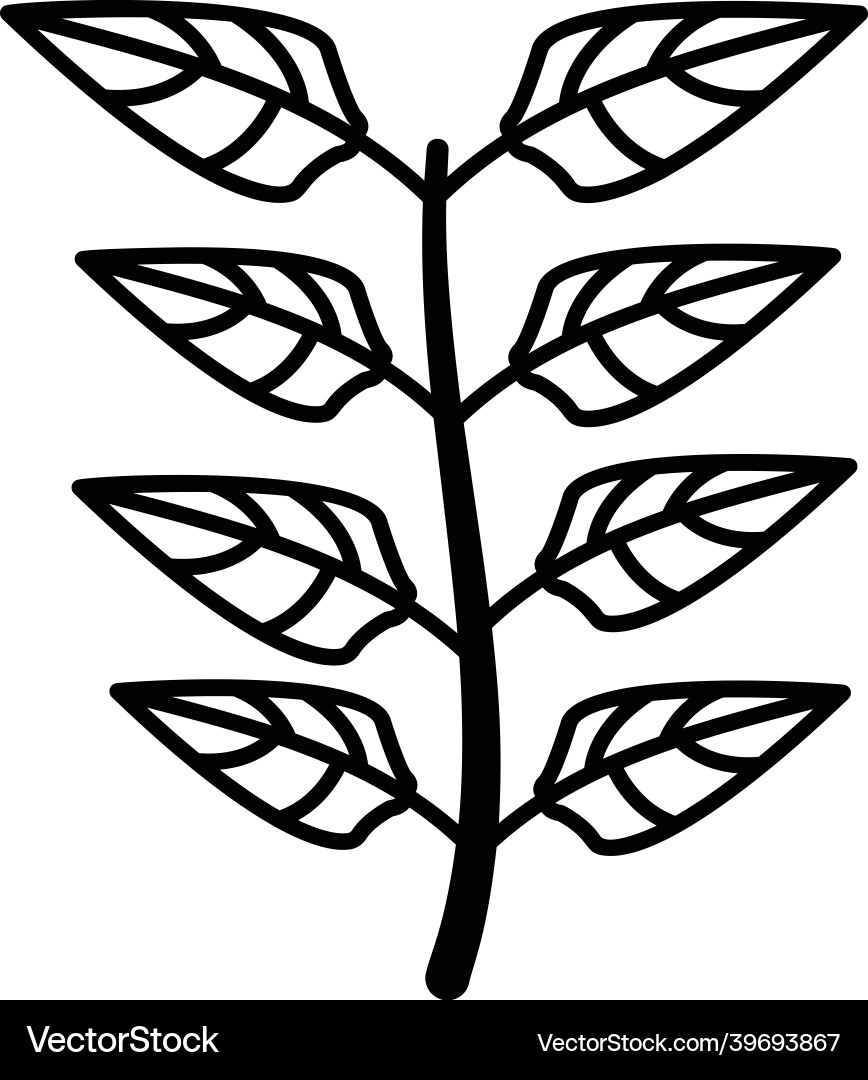 Leaves Royalty Free Vector Image - VectorStock