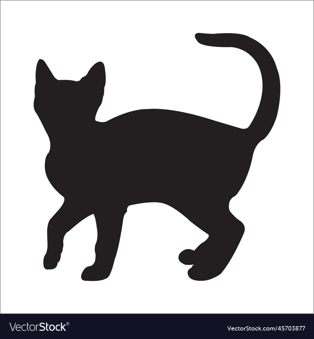 Cat silhouette Royalty Free Vector Image - VectorStock