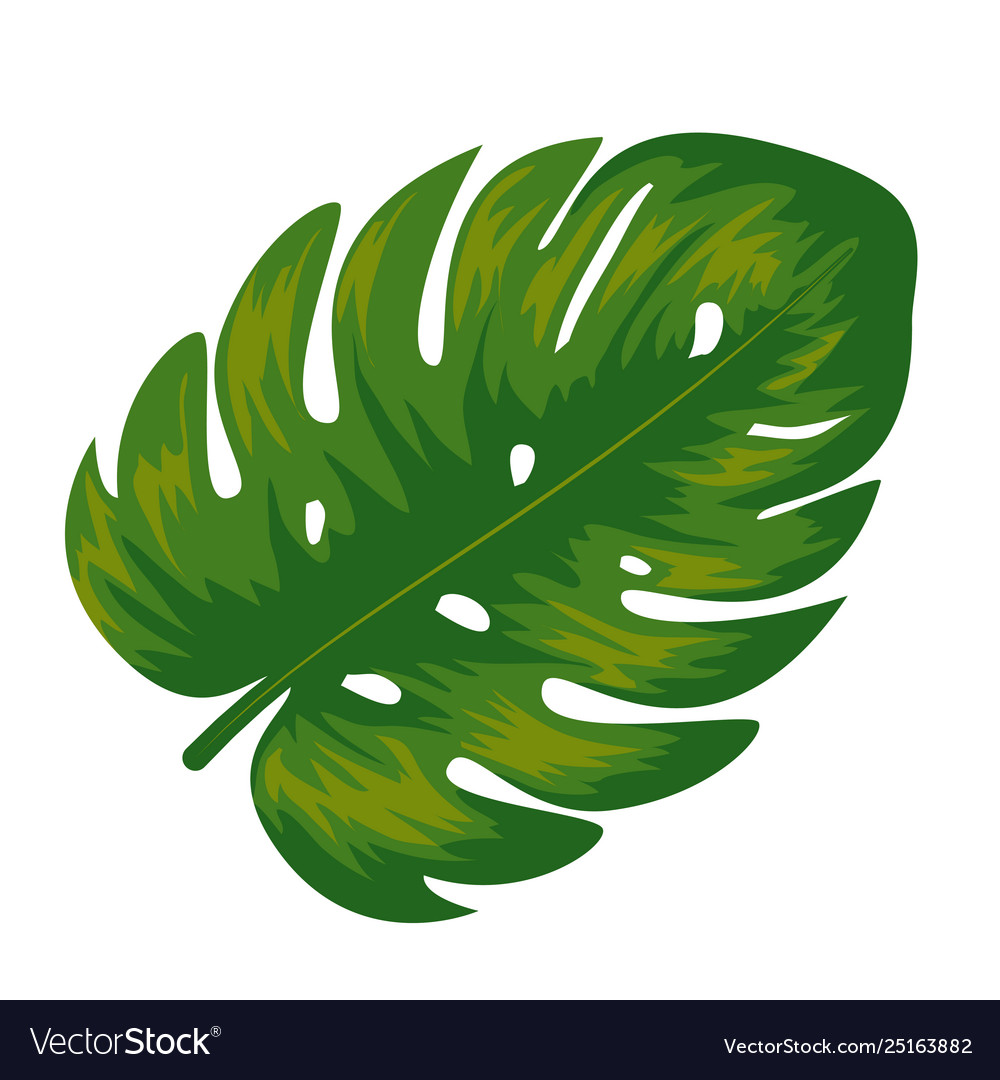 Exotic leaf plant icon Royalty Free Vector Image