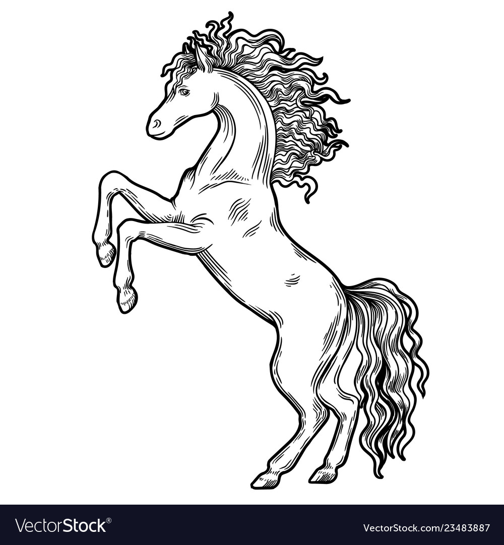 Horse coat of arms heraldic object horse Vector Image