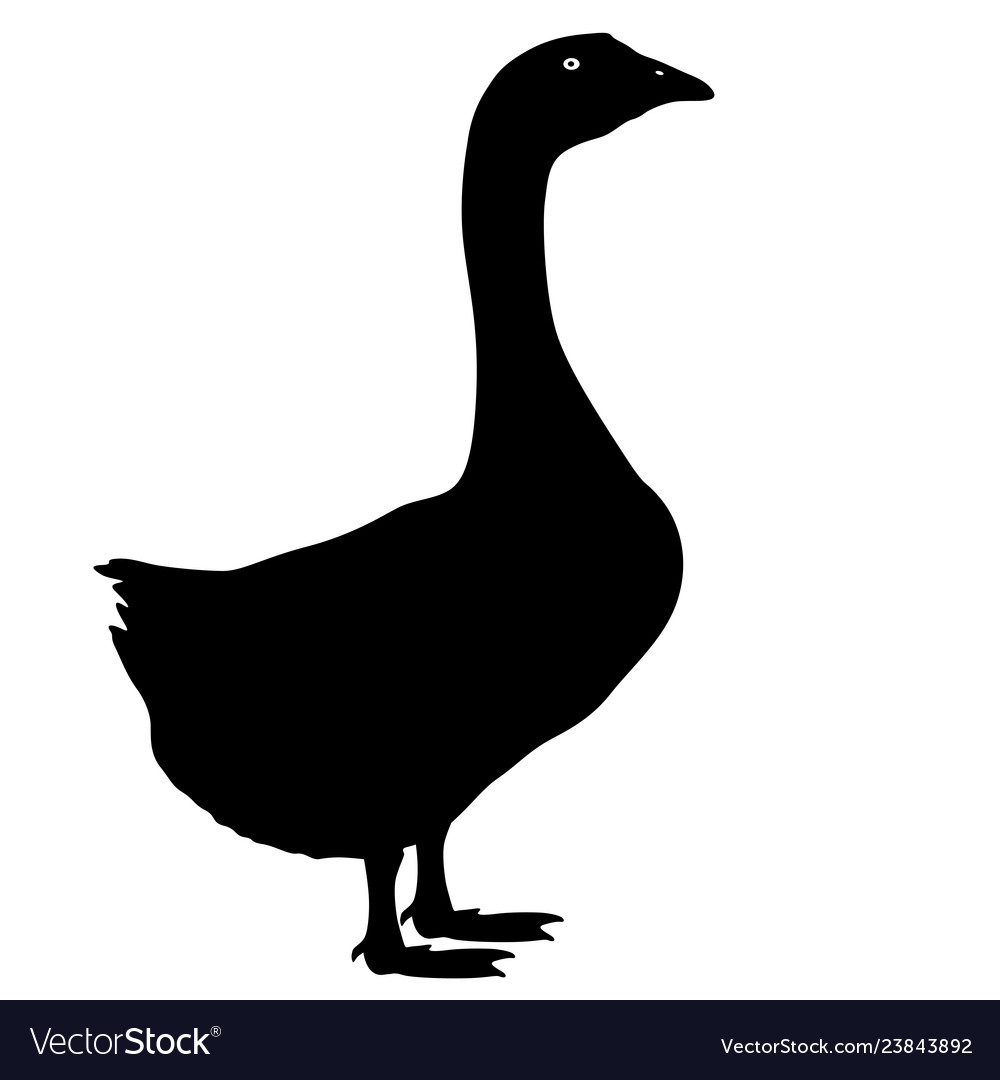 Silhouette bird goose on a white background