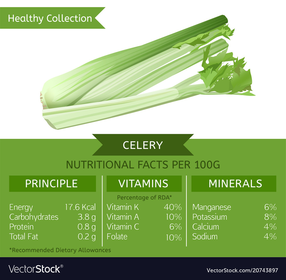 Healthy collection celery Royalty Free Vector Image