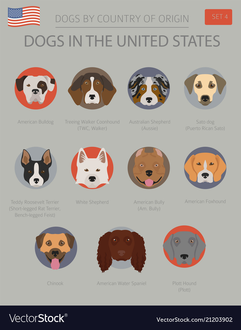 Dogs in the united states american dog breeds Vector Image