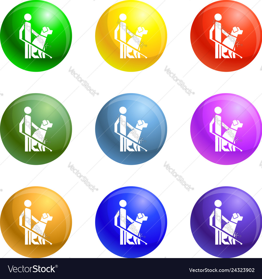 Man dog guide icons set Royalty Free Vector Image