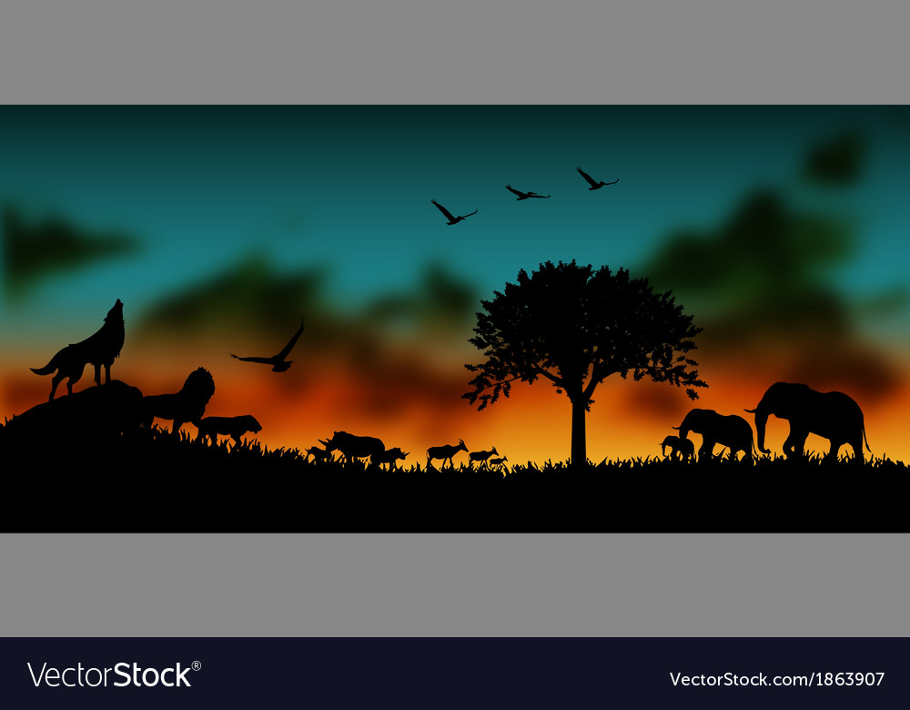 African and animals background Royalty Free Vector Image African and animals background Royalty Free Vector Image