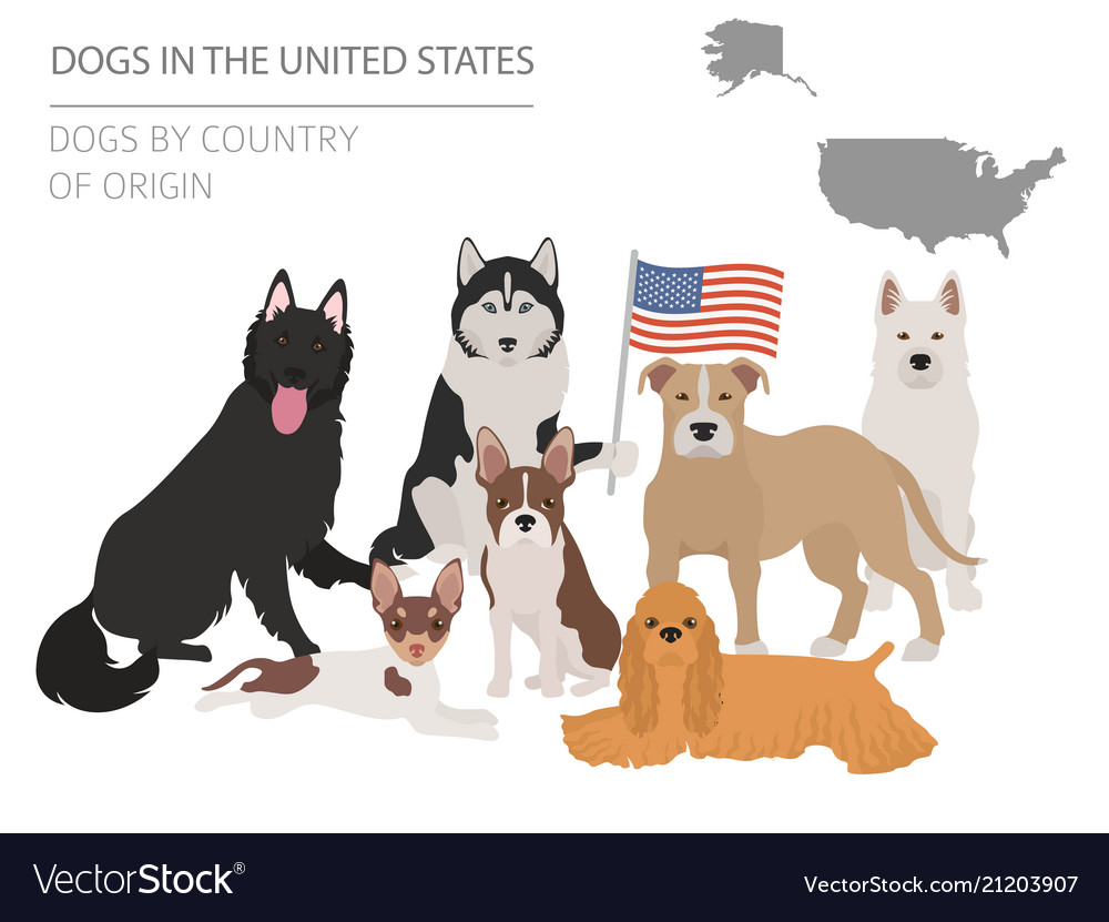 how many dogs are there in the us