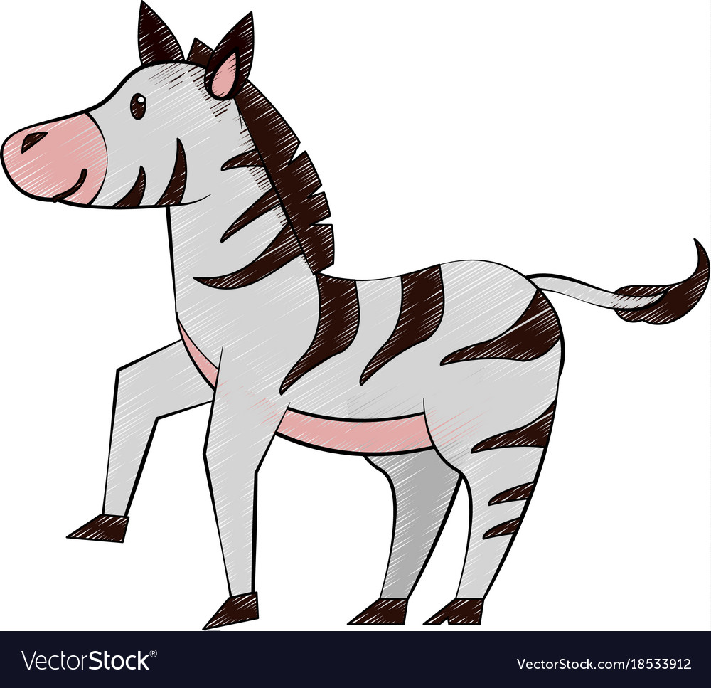 Cute zebra cartoon