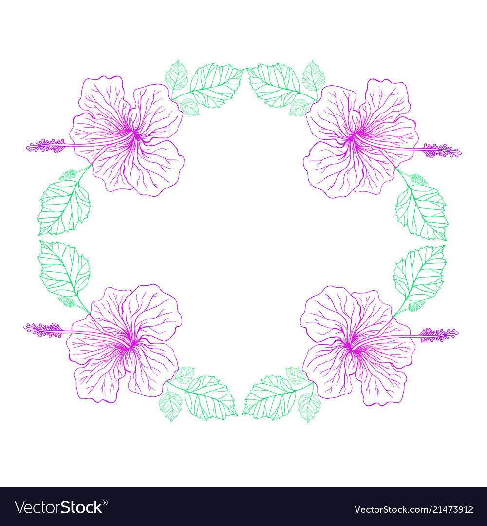 Hibiscus flower pink color vintage fram vector image Hibiscus flower pink color vintage fram