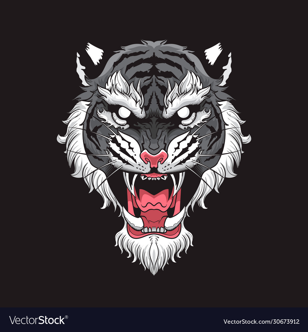 Tiger head with in black background Royalty Free Vector