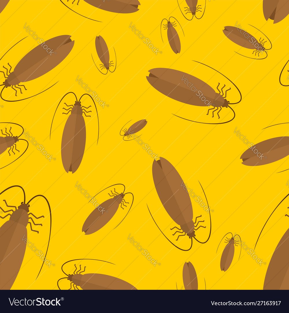 Cockroach pattern seamless insect background