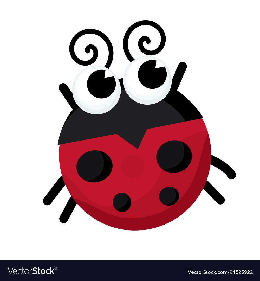 Ladybug Royalty Free Vector Image - VectorStock