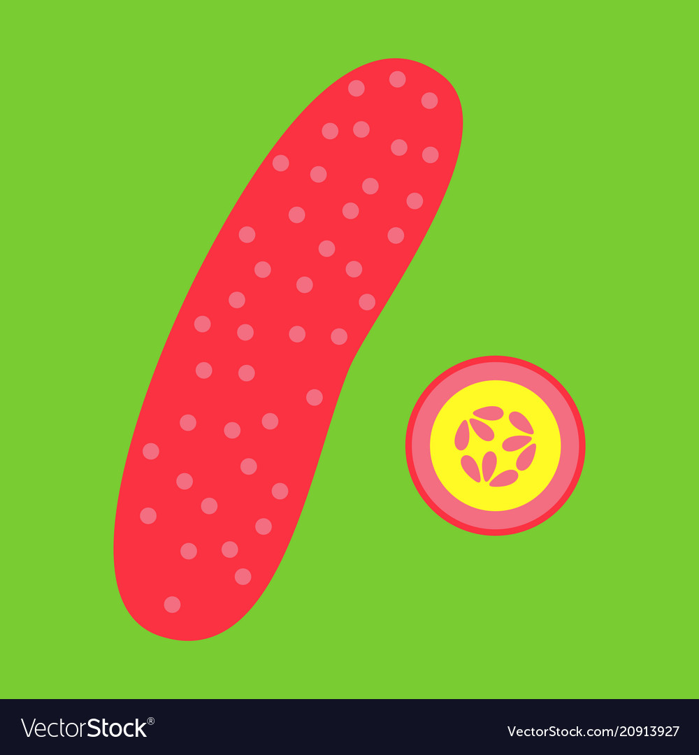 Abstract logo for whole ripe vegetable cucumber