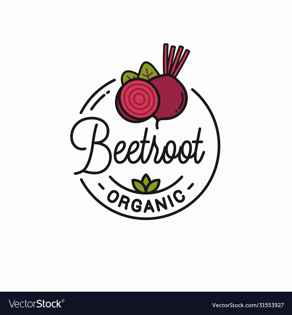 Beetroot vegetable logo round linear slice Vector Image