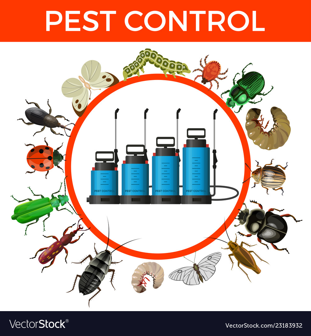 Pest Control Utah County