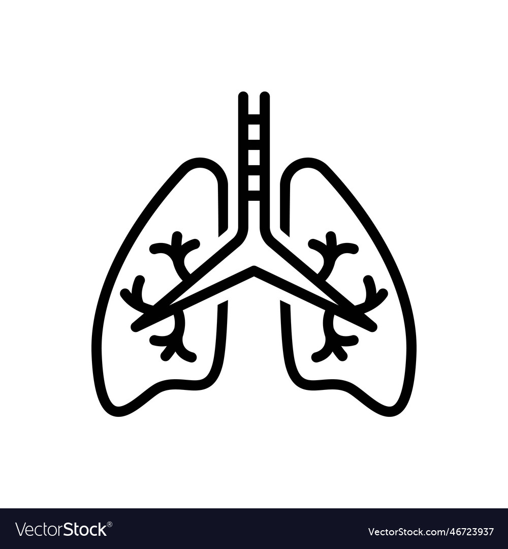 Respiratory Royalty Free Vector Image - VectorStock