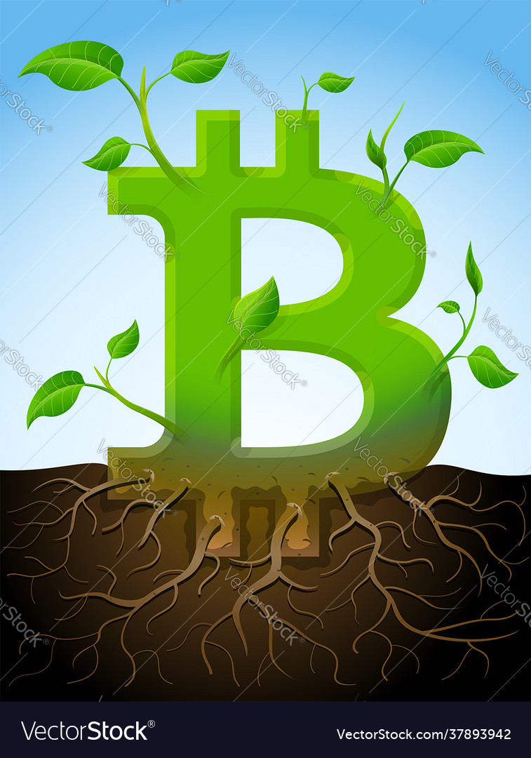 Growing bitcoin symbol as plant with leaves roots