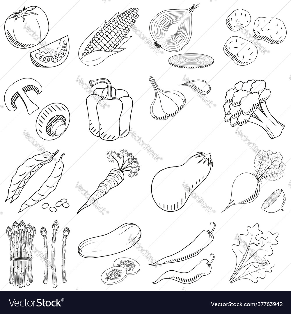 Vegetables set - black and white drawing Vector Image