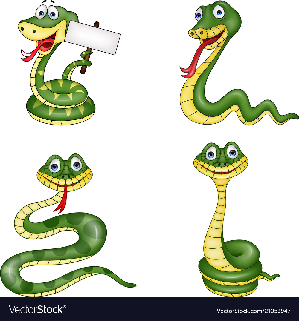Snake collection set Royalty Free Vector Image