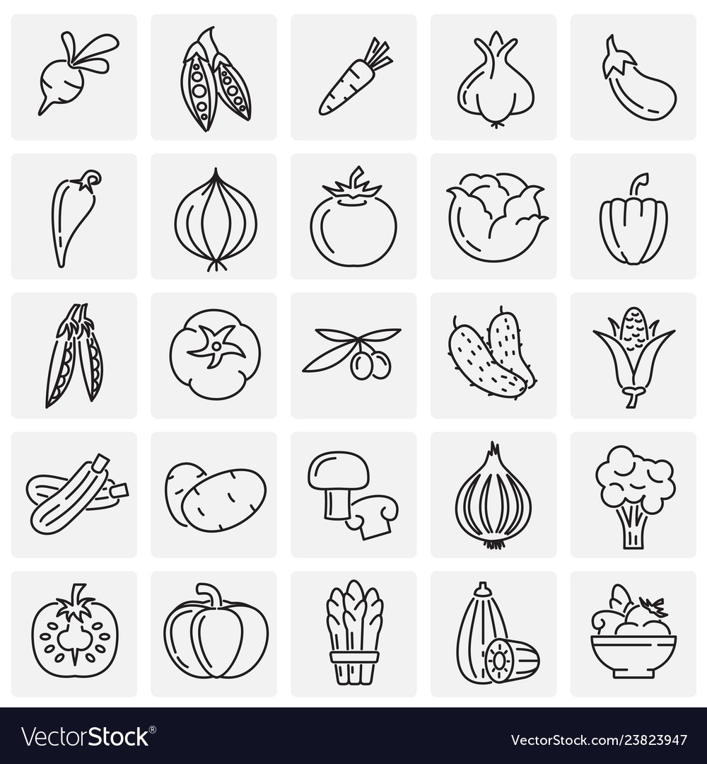 Vegetables line icons set on squares background