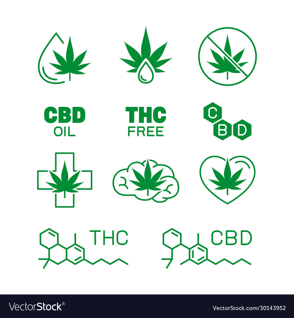 Cbd Oil Benefits Medical Uses Royalty Free Vector Image 4541