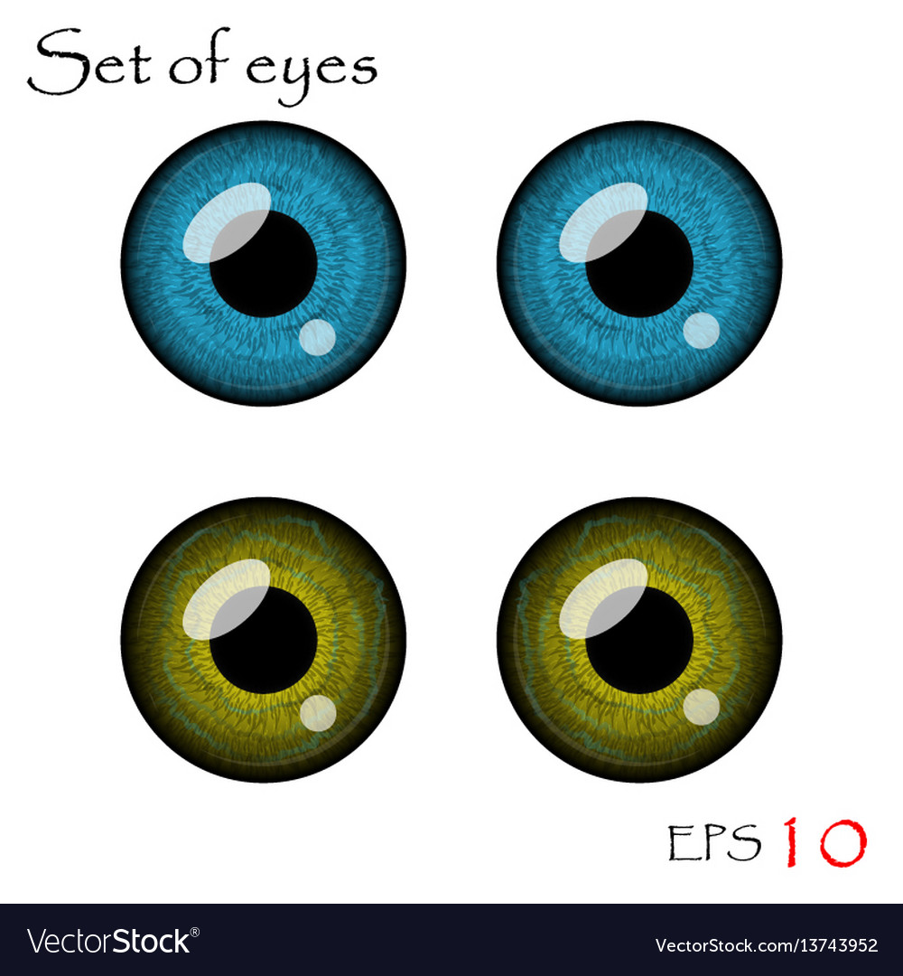 Eyes collection