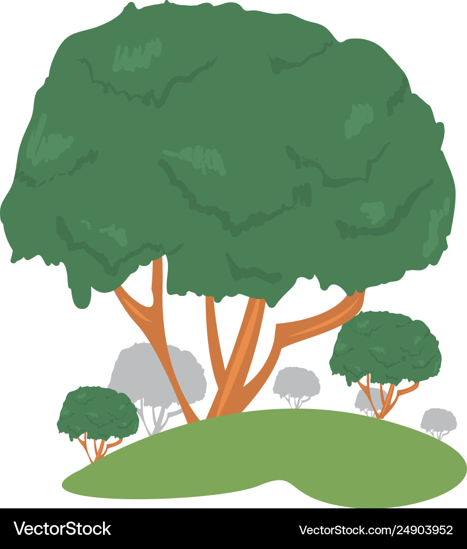 Trees forest field Royalty Free Vector Image - VectorStock