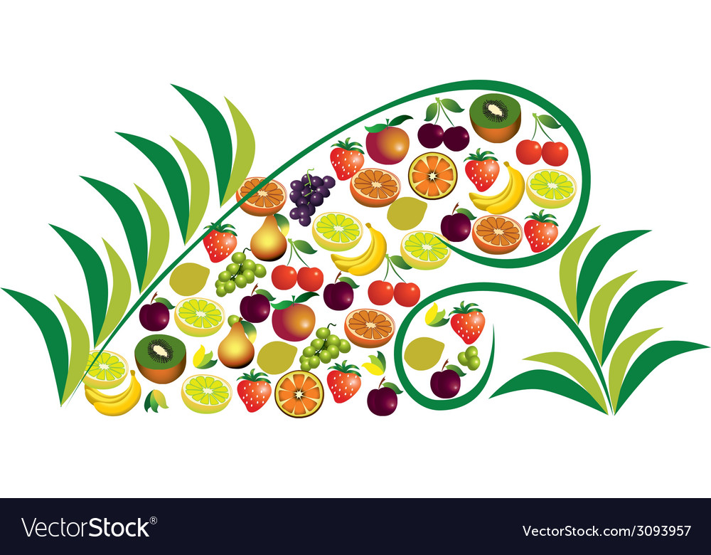 Fruits abstract composition different icon