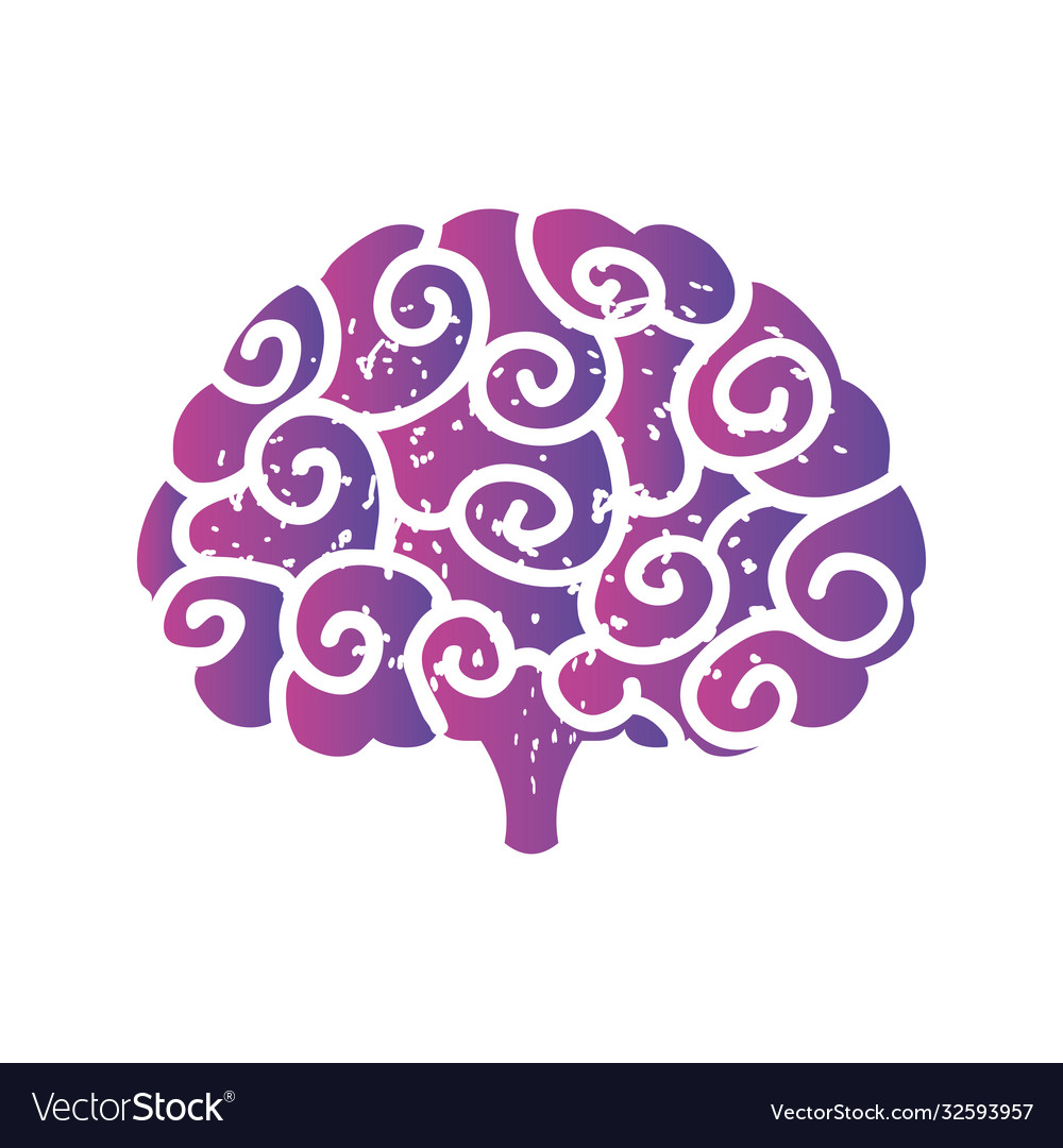 Human brain on white background Royalty Free Vector Image