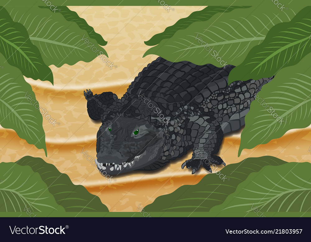 Rocodile on the sand under green leaves