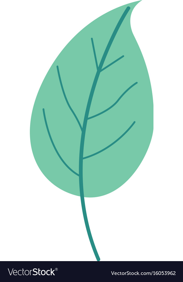 Green light color of simple leaf plant Royalty Free Vector