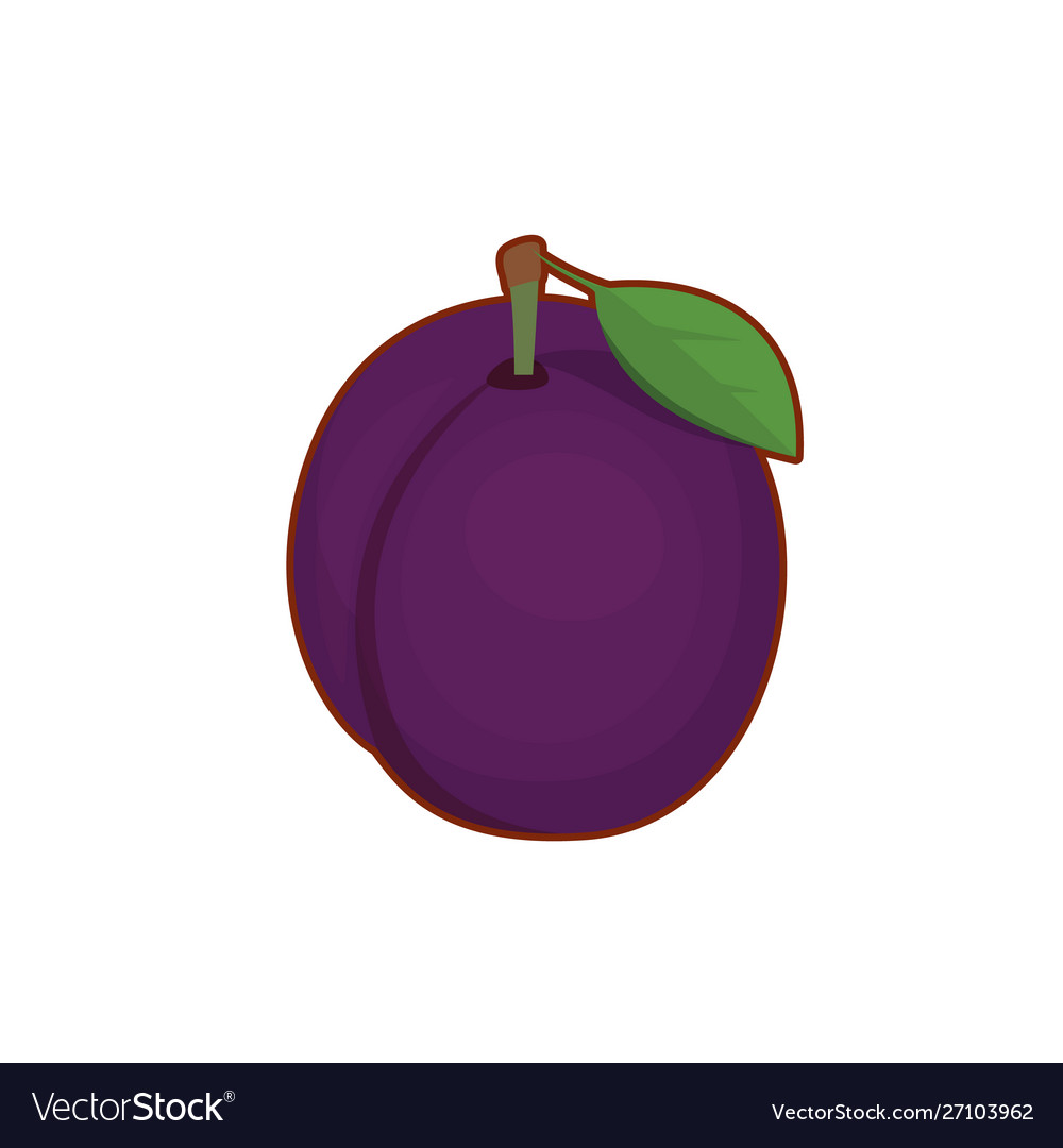 Purple plum Royalty Free Vector Image - VectorStock