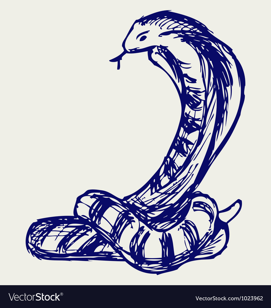 scary snake sketch