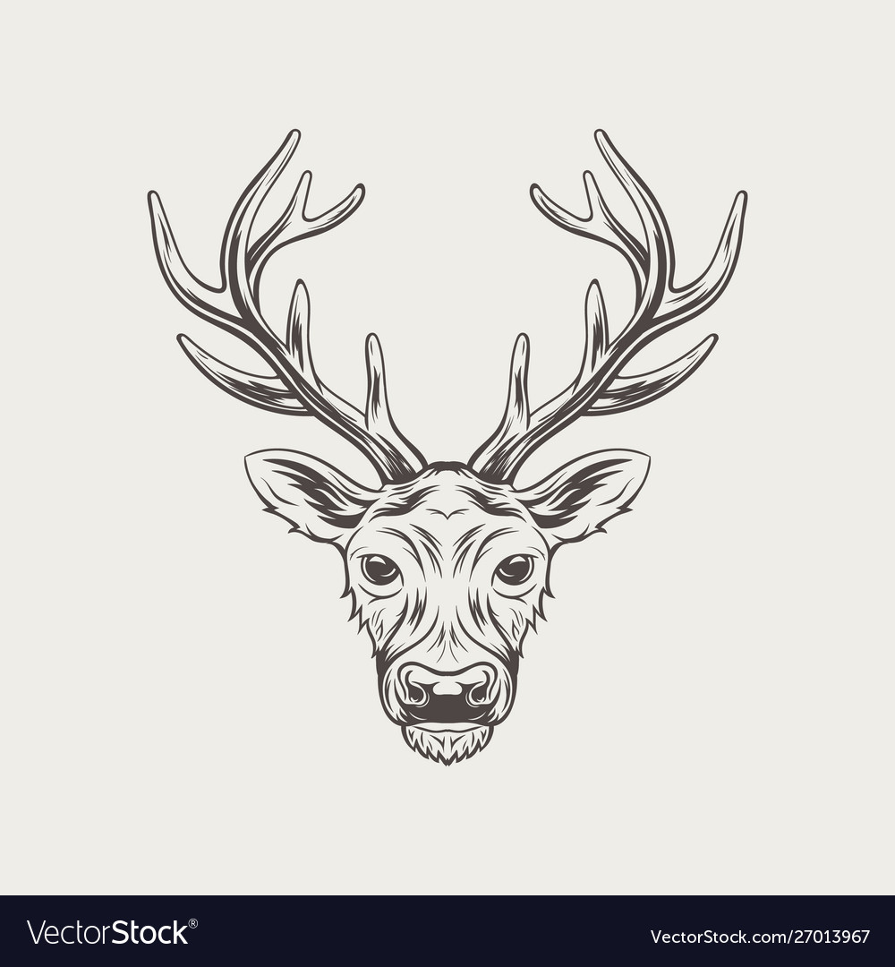 Deer head isolated on white background Royalty Free Vector