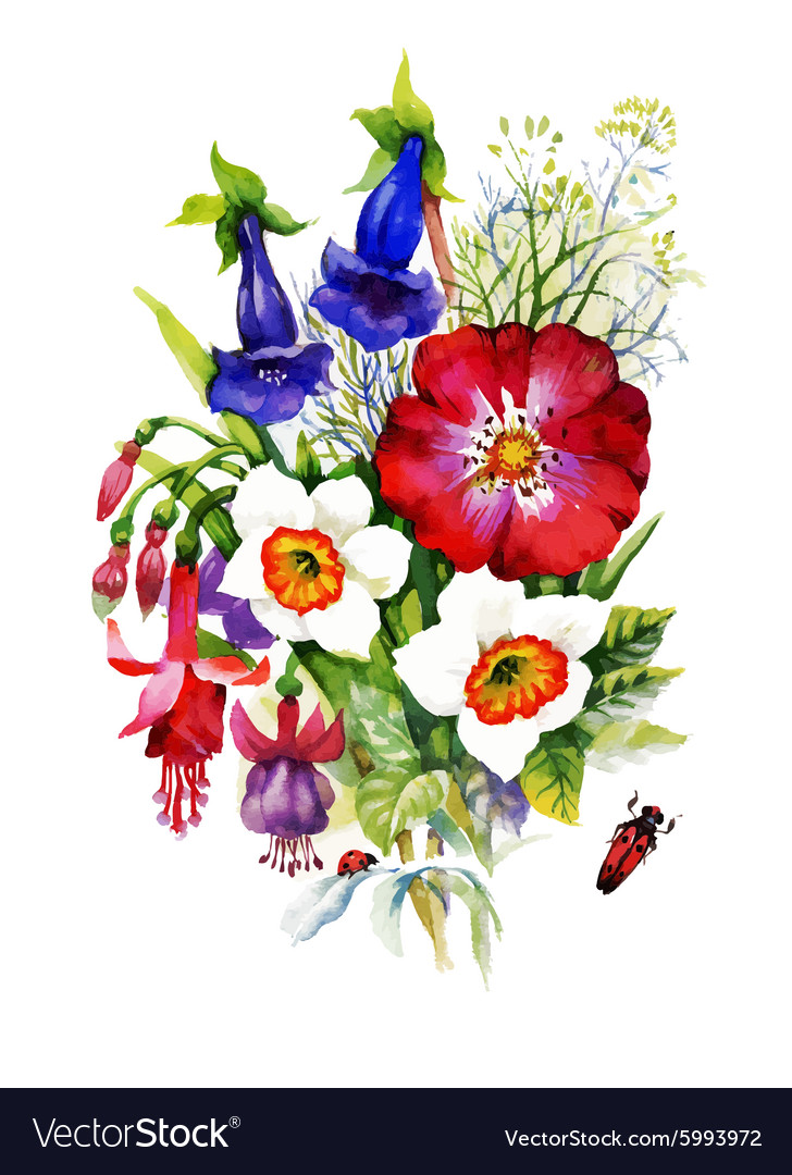 Watercolor flowers in classical style on a white Vector Image