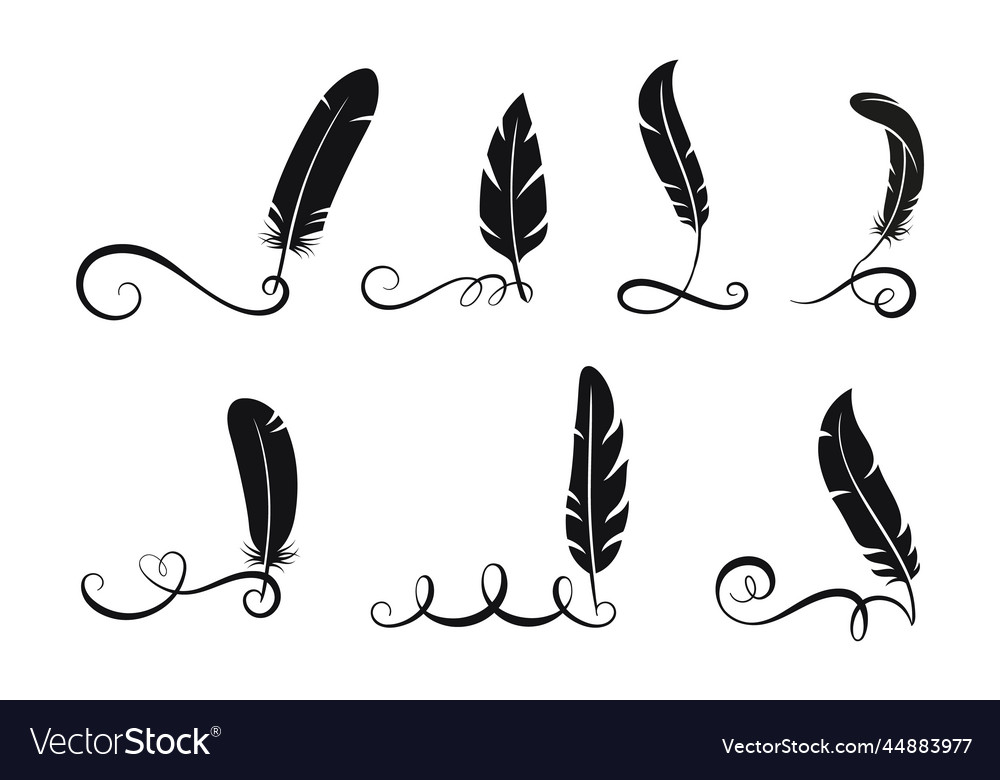 Black feathers written calligraphy elements Vector Image