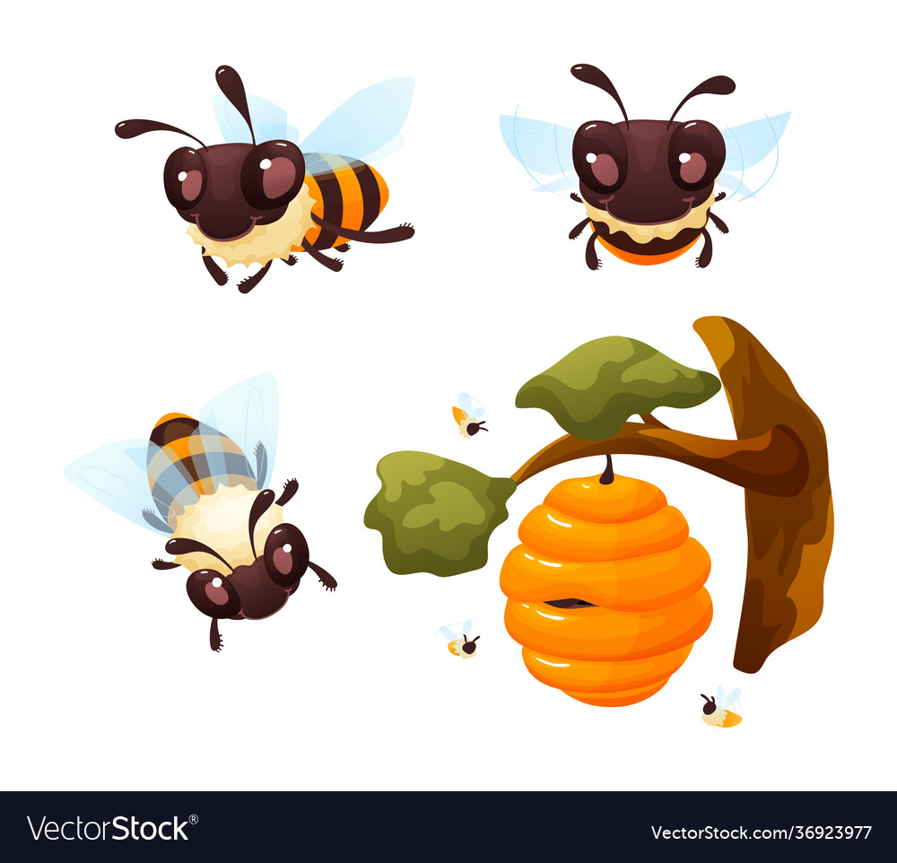 Cartoon cute bees character set isolated vector image Cartoon cute bees character set isolated