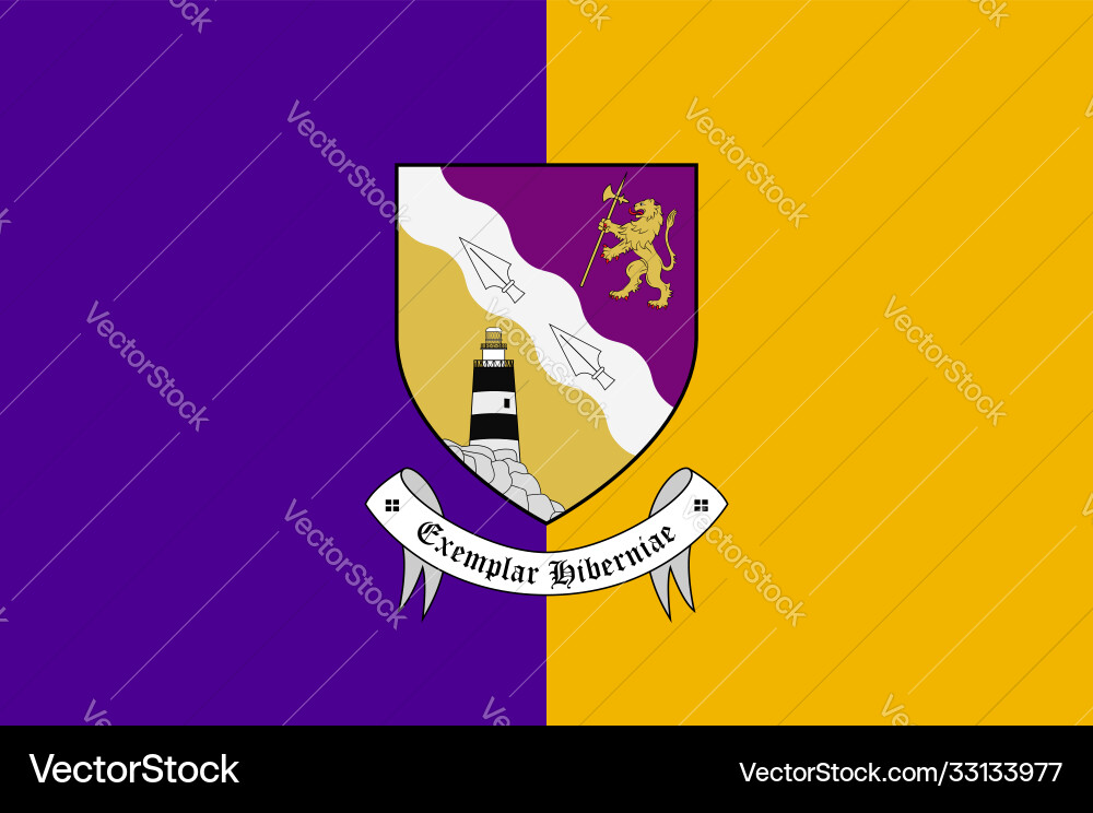 Flag county wexford in ireland Royalty Free Vector Image