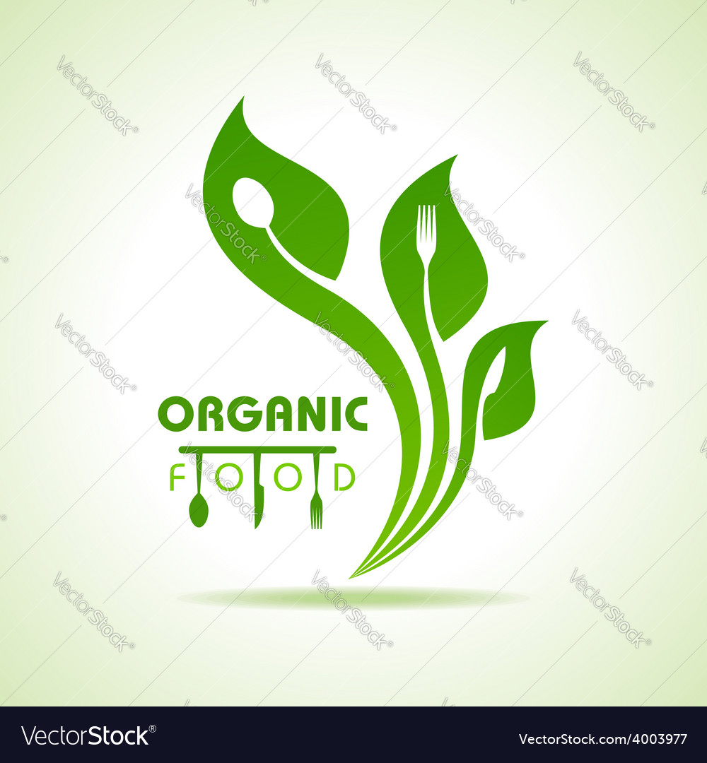 Organic food with kitchen utensils concept